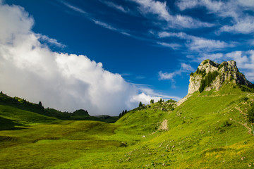 Schynige Platte, Daube