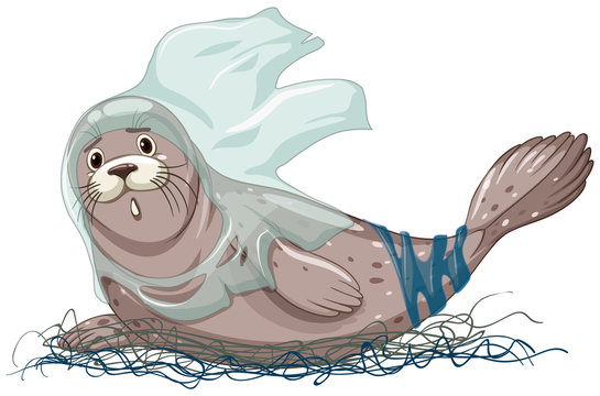 Seal with net and plastic bags