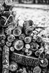 Pile of cut wooden logs with bark stacked assymetrically with high contrast in black and white and blurry background 