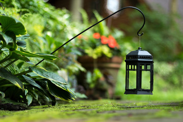 Low angle perspective of lantern suspended above mossy ground from pole emerging from hosta in garden