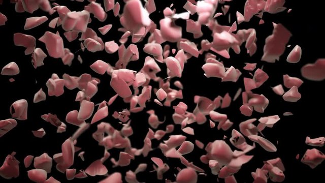 Brain damage animation, isolated brain cracks up and explodes into small pieces on black background