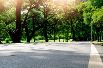 White line on road at public park