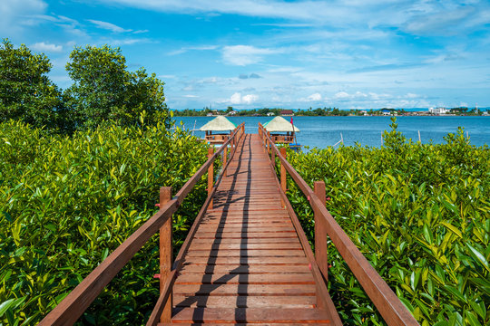 Mangrove Boardwalk in Tacloban, Leyte, Philippines
