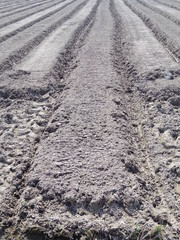 Plowed field with a tractor