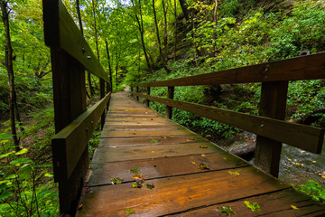 Obraz premium Wooden pathway