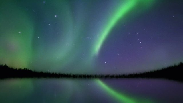 Bright dancing aurora reflected in a lake near a forest, timelapse.