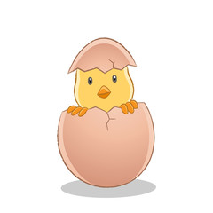 Yellow Easter Chick Have Just Broken Egg Illustration