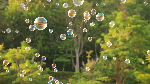 4k Soap bubbles floating in the air with natural green blurred bokeh background for children and kids in the park