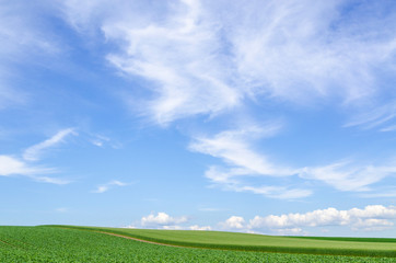 北海道　美瑛　青空と穀倉地帯