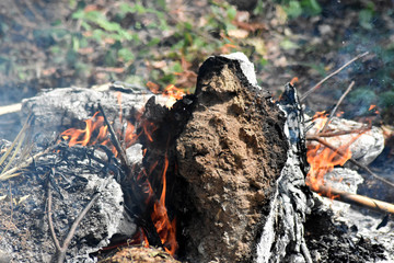 Orange flames and white-gray smoke from the burning of roots and old trees, polluting the weather.