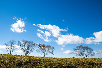 秋の美幌峠から見た道東の平原（北海道・弟子屈町）