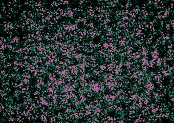 abstract background with flowers
