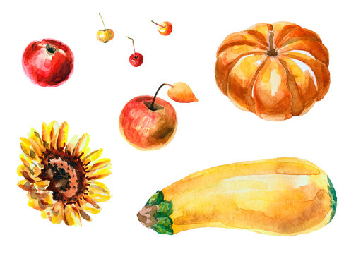 Watercolor autumn harvest isolated on a white background