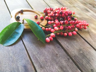 Antidesma thwaitesianum on wood background - 290645172