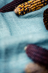 Maiskolben und Zapfen auf blauem Stoff aus Jute