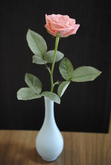 薔薇　季節　バラ　自然　プレゼント　ギフト　感謝 花瓶　
