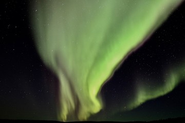 Fototapeta na wymiar Green Aurora light in Alaska