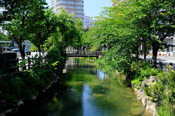 公園の川