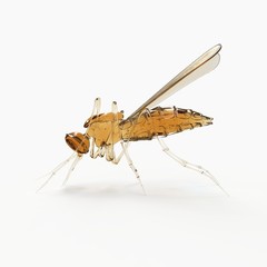The mosquito liquid texture like a honey stand on white background with 3d rendering.