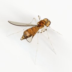 The mosquito liquid texture like a honey stand on white background with 3d rendering.