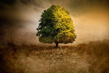 Lonely Tree in unreal surreal environment garbage nature pollution CO2