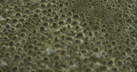 Water boiling,Close-up in pot of boiling water,Bubbles of boiling water	