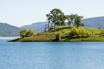 Oak trees on island surrounded by water.