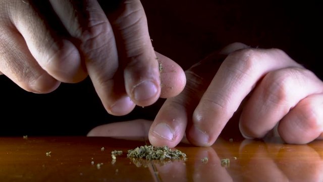 Breaking apart sticky CBD flower to be used for rolling a CBD joint.