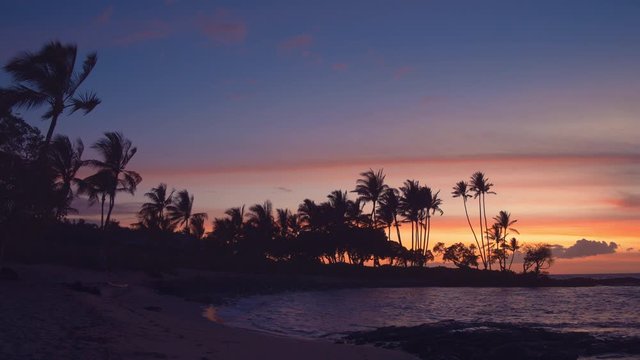 Hawaii Sunset Palm Trees Fairmont Hotel Big Island Hawaii