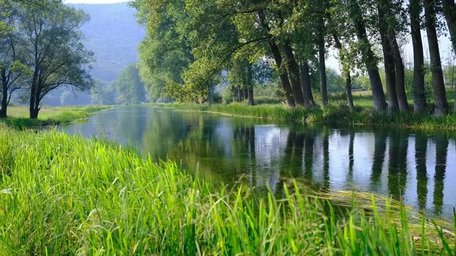 Calm river flowing in the valley, framed by row of trees and distant hills. Panoramic footage