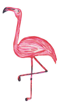 Pencil flamingo on one leg isolated on white background. Hand drawing illustration for design, prints, posters, cards, textiles and patterns.