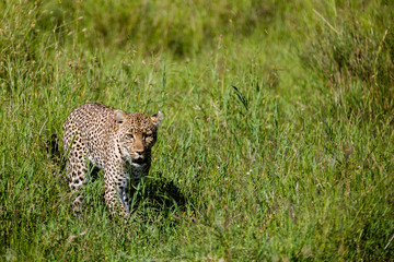Tanzania, East Africa
