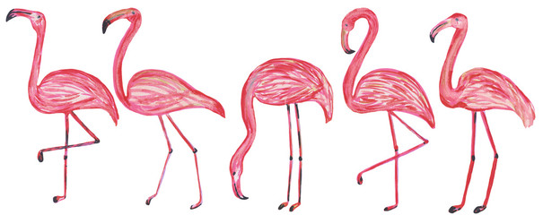Satz von fünf Flamingos auf weißem Hintergrund. Handzeichnungsillustration für Design, Drucke, Poster, Karten, Textilien und Muster.