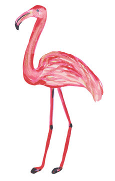 Isolated cute flamingo stands with pencils on a white background. Hand drawing illustration for design, prints, posters, cards, textiles and patterns.