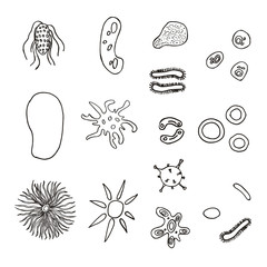 A set of bacteria and viruses.
