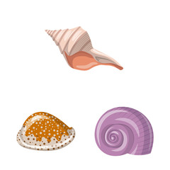 Vector design of seashell and mollusk symbol. Collection of seashell and seafood vector icon for stock.