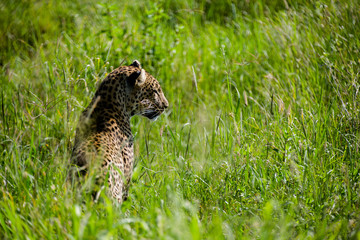 Tanzania, East Africa