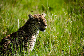 Tanzania, East Africa