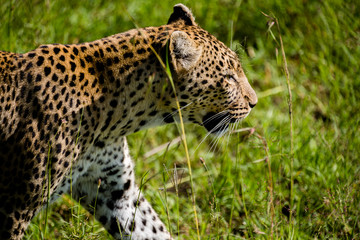 Tanzania, East Africa
