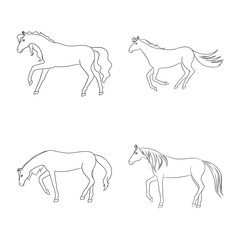 Isolated object of stallion and galloping symbol. Set of stallion and riding stock symbol for web.