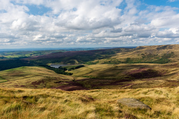 Fototapeta premium The Peak District has many different types of vegetation that leave the English hills looking yellow and purple as clouds loom over the landscape in England, UK.