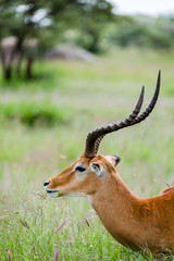 Tanzania, East Africa