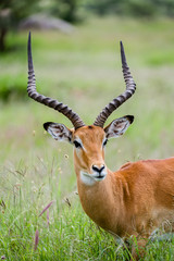 Tanzania, East Africa