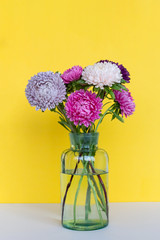 Beautiful colourful asters bouquet in glass vase on bright vibrant yellow background. The stems of flowers are beautifully refracted in water.