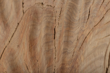 Beautiful texture of old carved stained oak.