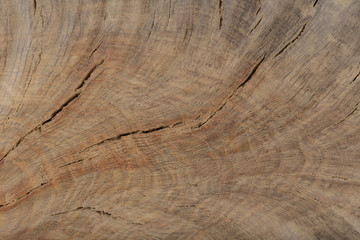 Beautiful texture of old carved stained oak.