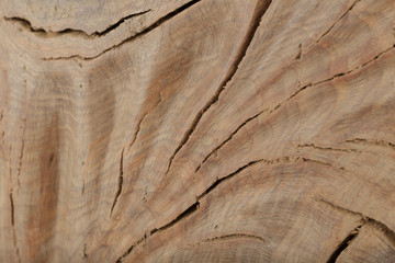 Beautiful texture of old carved stained oak.