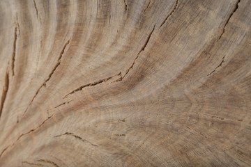 Beautiful texture of old carved stained oak.