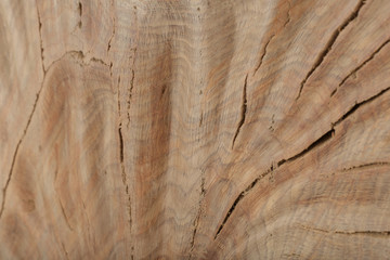 Beautiful texture of old carved stained oak.
