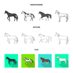 Vector illustration of breed and equestrian sign. Set of breed and mare stock symbol for web.